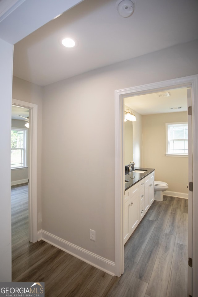 266 Patillo Rd, Jackson, GA 30233 - bathroom featuring vanity, wood finished floors, and plenty of natural light