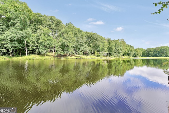123 Eva Ln, Stockbridge, GA 30281