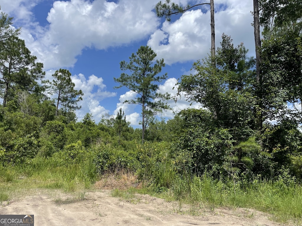 633 Sams Trl, Hortense, GA 31543