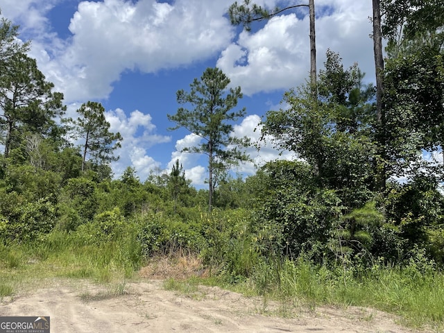 633 Sams Trl, Hortense, GA 31543