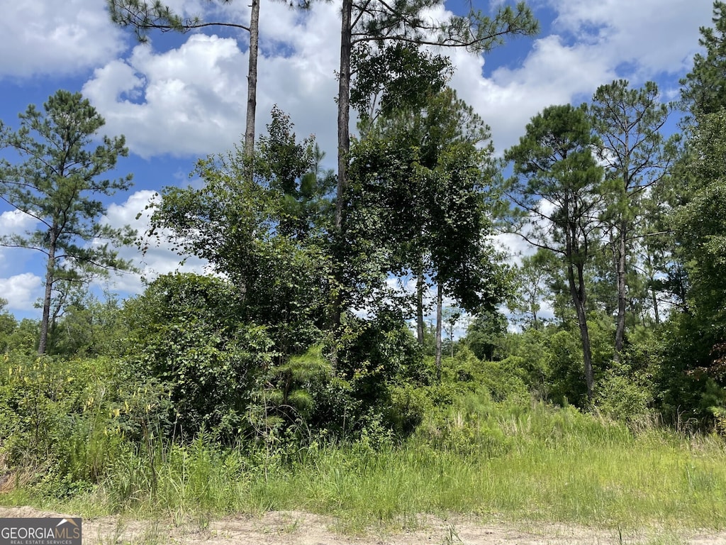 633 Sams Trl, Hortense, GA 31543