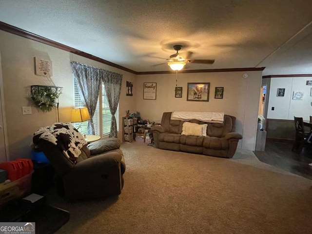 601 Auburn Rd, Glennville, GA 30427 - carpeted living room with ornamental molding, a ceiling fan, and a textured ceiling