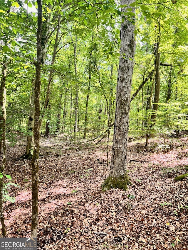 353 Retreat Trl, Lagrange, GA 30240
