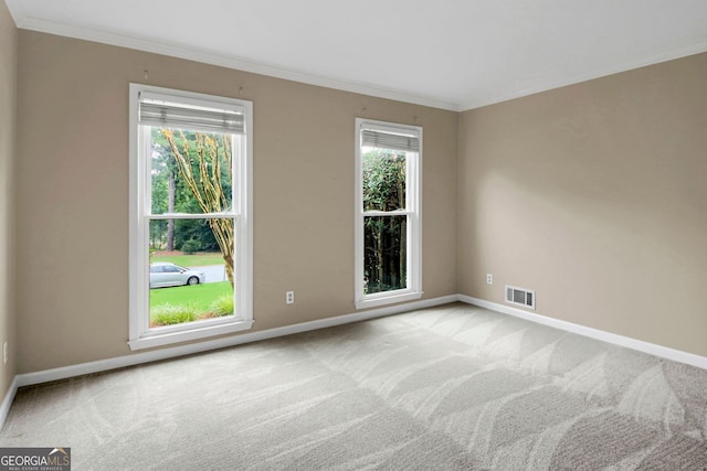 1197 Kenilworth Trce, Snellville, GA 30078 - unfurnished room with carpet and ornamental molding