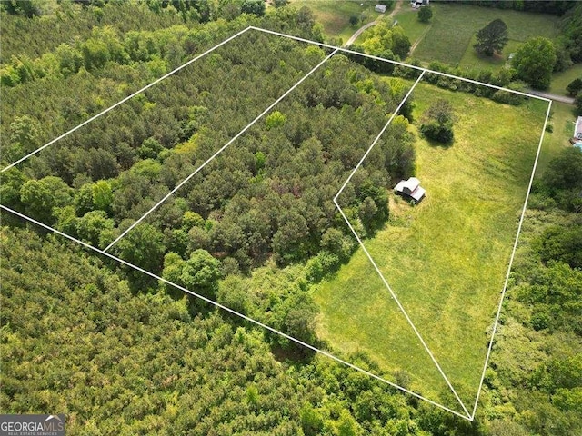 TRACT3 Grogan Rd, Buchanan, GA 30113 - view of property location featuring property boundaries highlighted