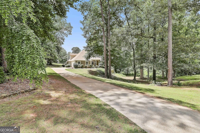 77 Springfield Ct, Newnan, GA 30265 - view of community featuring a yard