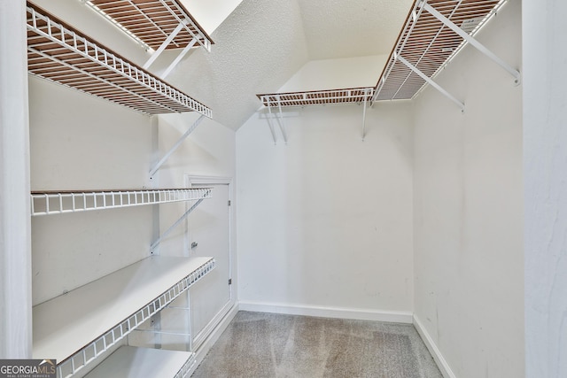 77 Springfield Ct, Newnan, GA 30265 - spacious closet featuring carpet and lofted ceiling