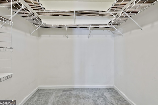 77 Springfield Ct, Newnan, GA 30265 - spacious closet featuring carpet flooring