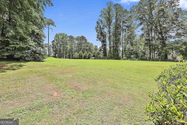 77 Springfield Ct, Newnan, GA 30265 - view of green lawn