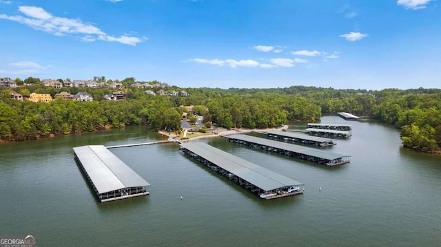 7114 Nightfall Ln, Gainesville, GA 30506 - aerial view of a large body of water