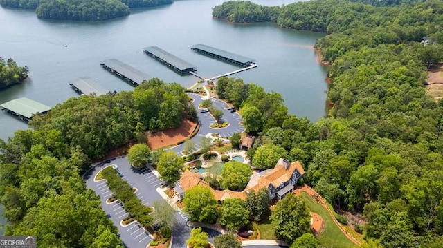 7114 Nightfall Ln, Gainesville, GA 30506 - aerial view of a forest and a nearby body of water