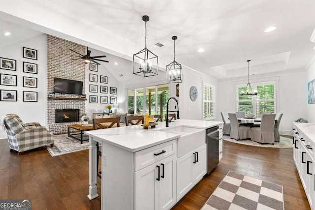 213 River Trl, Ball Ground, GA 30107 - kitchen featuring stainless steel dishwasher, open floor plan, a fireplace, healthy amount of natural light, and recessed lighting