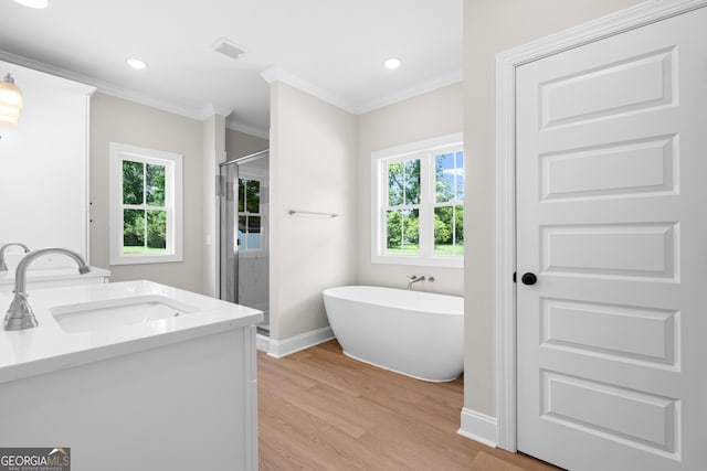 19 Honeysuckle Dr, Claxton, GA 30417 - bathroom featuring vanity, wood finished floors, a shower stall, ornamental molding, and a soaking tub