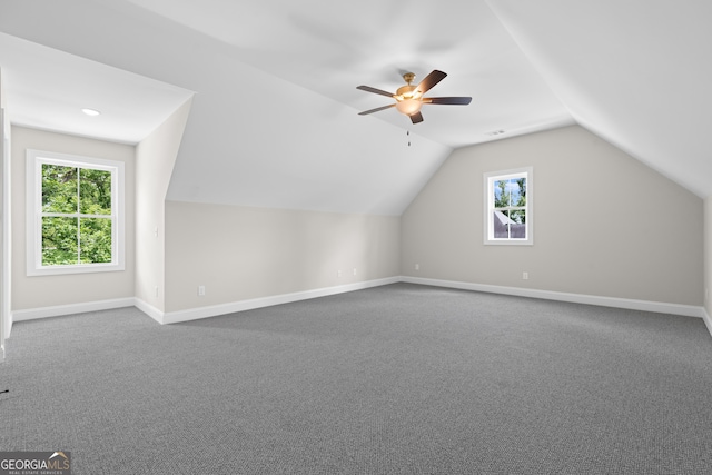 19 Honeysuckle Dr, Claxton, GA 30417 - bonus room with plenty of natural light, vaulted ceiling, a ceiling fan, and dark colored carpet