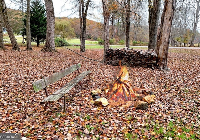 104 Bowers Cir, Blairsville, GA 30512 - view of yard
