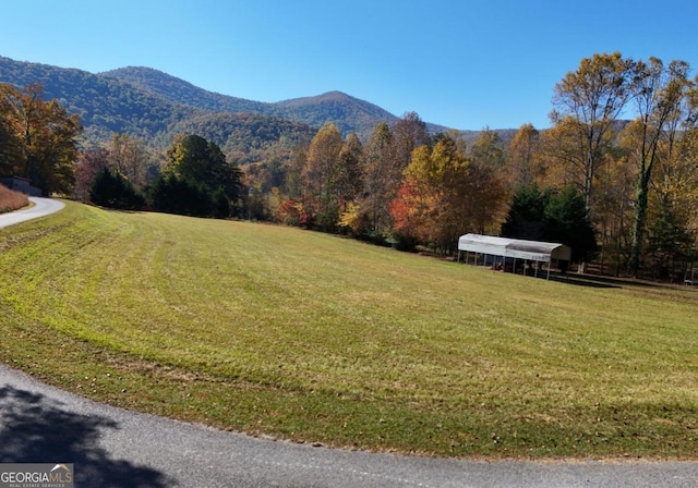 104 Bowers Cir, Blairsville, GA 30512 - mountain view
