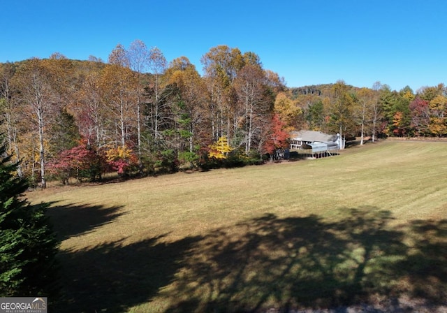 104 Bowers Cir, Blairsville, GA 30512 - view of green lawn with a forest view