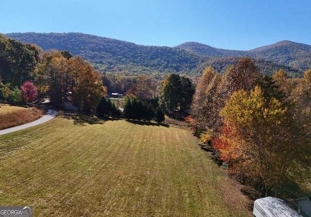 104 Bowers Cir, Blairsville, GA 30512 - view of mountain background