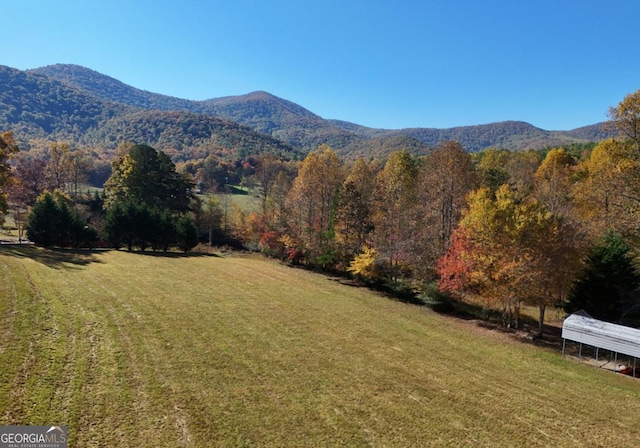 104 Bowers Cir, Blairsville, GA 30512 - view of mountain background with a forest