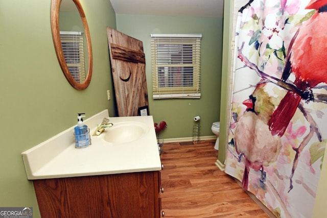 104 Bowers Cir, Blairsville, GA 30512 - bathroom with vanity, wood finished floors, and curtained shower