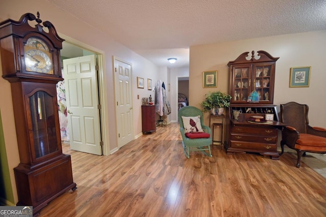 104 Bowers Cir, Blairsville, GA 30512 - living area with wood finished floors and a textured ceiling