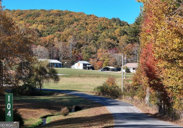 104 Bowers Cir, Blairsville, GA 30512 - view of street with a wooded view