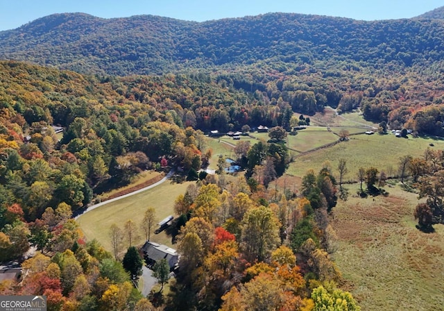 104 Bowers Cir, Blairsville, GA 30512 - aerial view of property and surrounding area featuring a heavily wooded area and a mountainous background