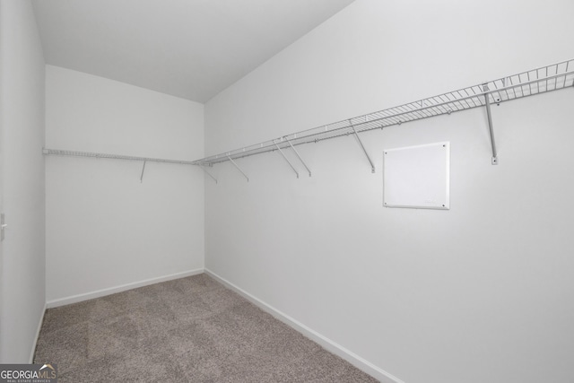 103 Gnome Ct, Perry, GA 31069 - walk in closet featuring carpet floors