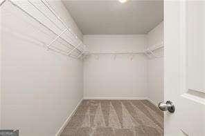 42 Buckingham Ln Unit 233, Hoschton, GA 30548 - walk in closet featuring carpet