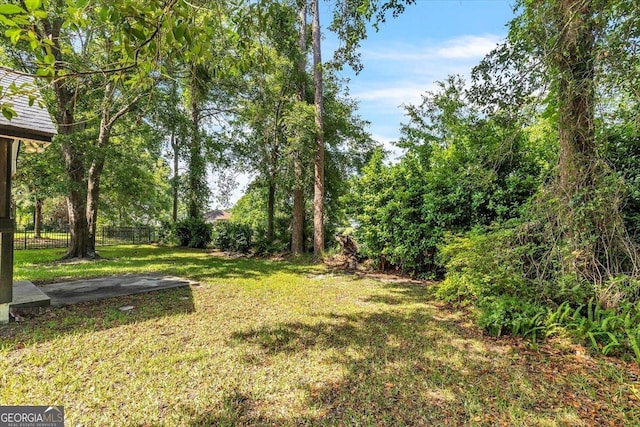 116 Overlook Bnd, Kingsland, GA 31548 - view of yard