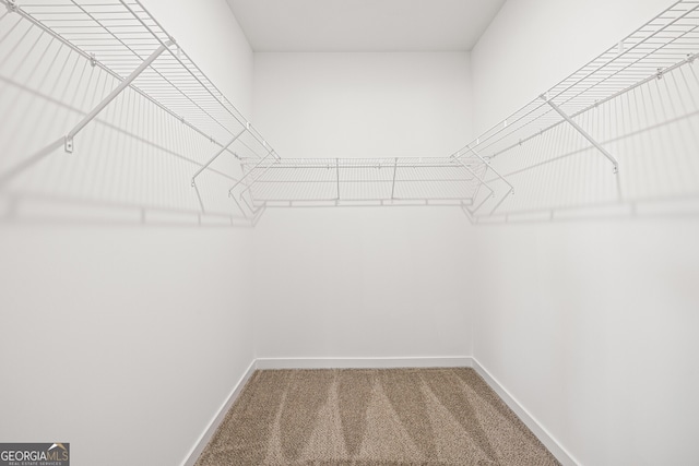 1313 Pj E Rd, Covington, GA 30014 - walk in closet with carpet