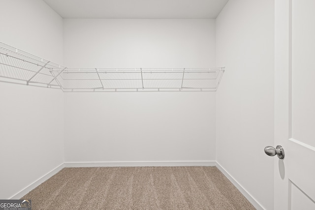 1313 Pj E Rd, Covington, GA 30014 - spacious closet featuring carpet