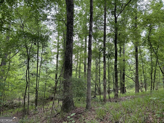 0 Mcdade Rd, Eatonton, GA 31024