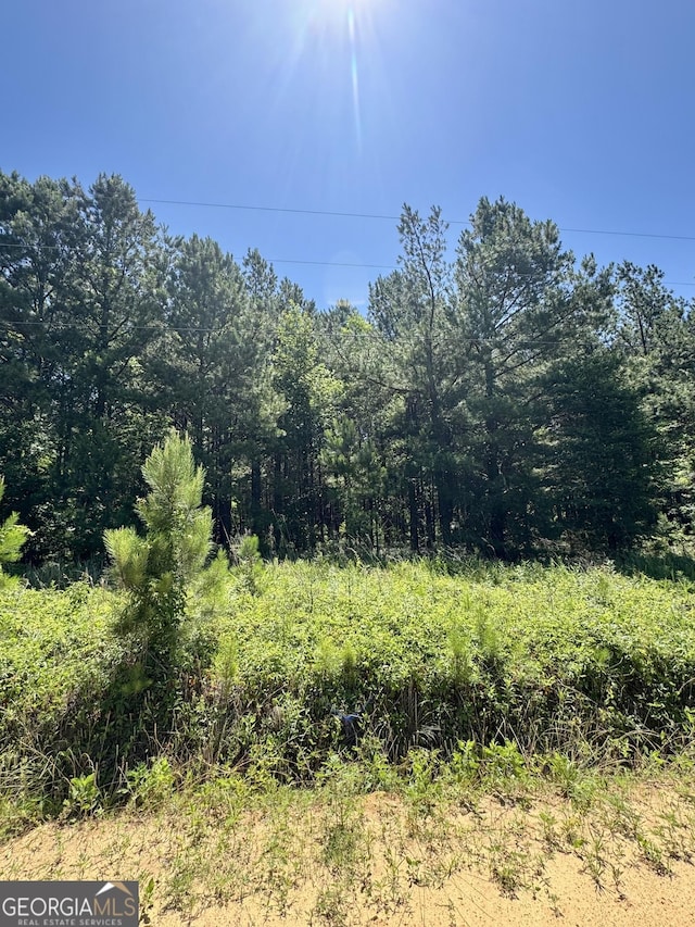 0 Sheppard Rd, Tennille, GA 31089