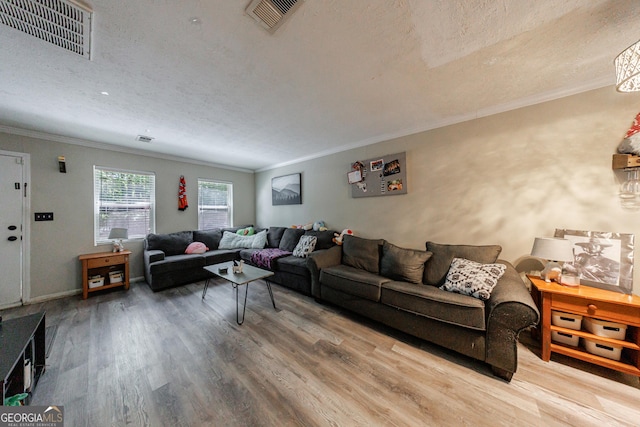 105 N River Dr Unit G, Sandy Springs, GA 30350 - living room featuring wood finished floors, ornamental molding, and a textured ceiling