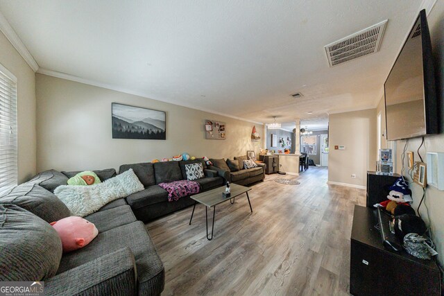 105 N River Dr Unit G, Sandy Springs, GA 30350 - living room featuring light wood-type flooring and crown molding