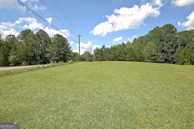 460 Morgan Mill Rd, Brooks, GA 30205 - view of grassy yard