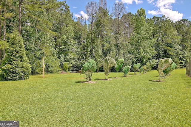 460 Morgan Mill Rd, Brooks, GA 30205 - view of green lawn