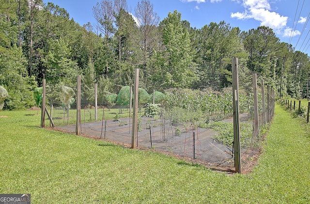460 Morgan Mill Rd, Brooks, GA 30205 - view of green lawn with a garden