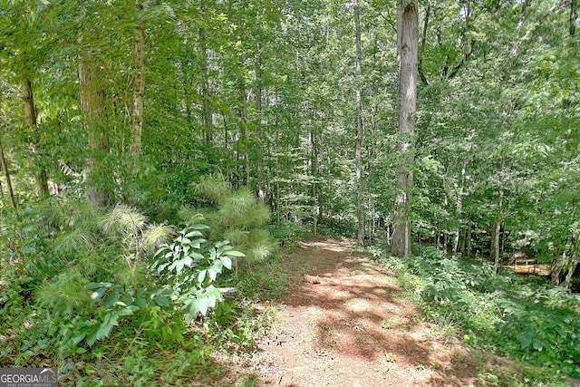 460 Morgan Mill Rd, Brooks, GA 30205 - view of woods