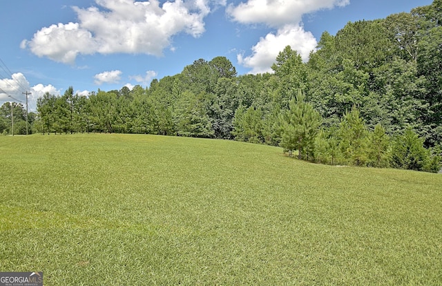 460 Morgan Mill Rd, Brooks, GA 30205 - view of green lawn