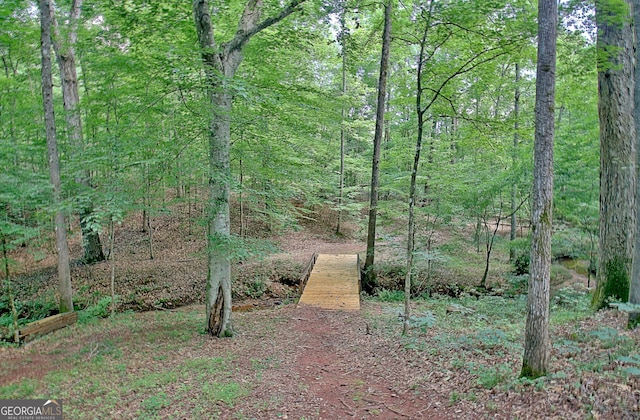 460 Morgan Mill Rd, Brooks, GA 30205 - view of yard with a forest view