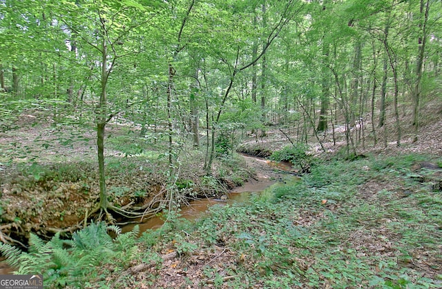 460 Morgan Mill Rd, Brooks, GA 30205 - view of local wilderness