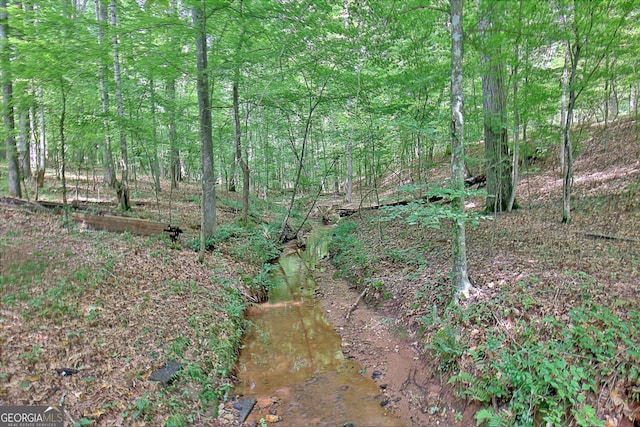 460 Morgan Mill Rd, Brooks, GA 30205 - view of local wilderness