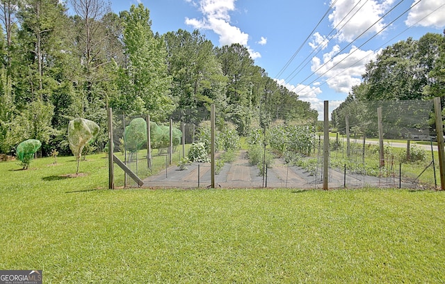 460 Morgan Mill Rd, Brooks, GA 30205 - view of grassy yard featuring a garden