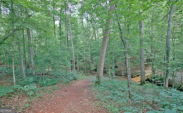 460 Morgan Mill Rd, Brooks, GA 30205 - view of woods