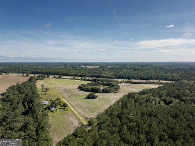 5185 Old Groveland Rd, Pembroke, GA 31321