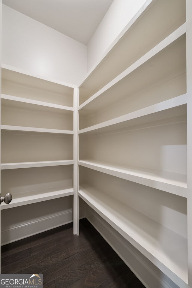 10580 Grandview Sq, Johns Creek, GA 30097 - view of storage area