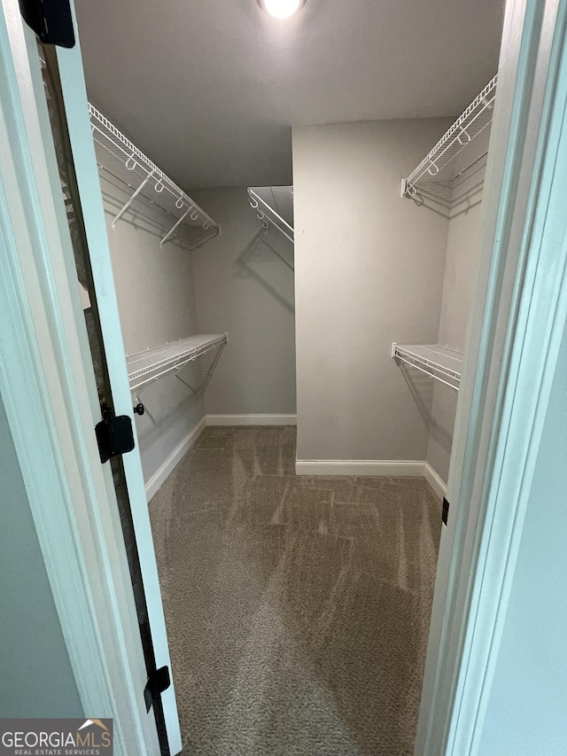 113 Sourwood Ln, Warner Robins, GA 31093 - walk in closet with carpet