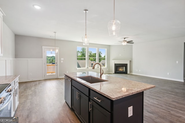 4601 Blacksmith Ln, Jefferson, GA 30549 - kitchen featuring appliances with stainless steel finishes, wood finished floors, a fireplace with flush hearth, and hanging light fixtures